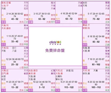 地支怎麼看|紫微斗數盤怎麼看？12宮位星曜排列完整教學 